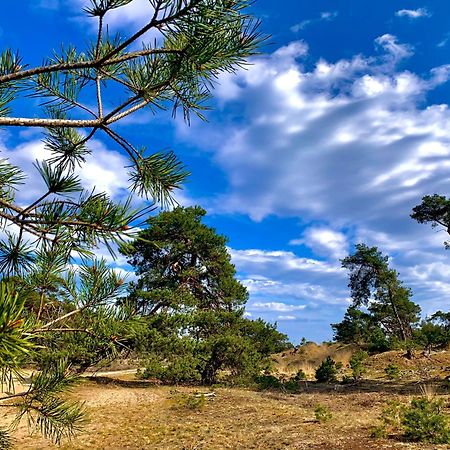 Rode Bosuil: Thuiskomen Op De Veluwe! 오털로 외부 사진