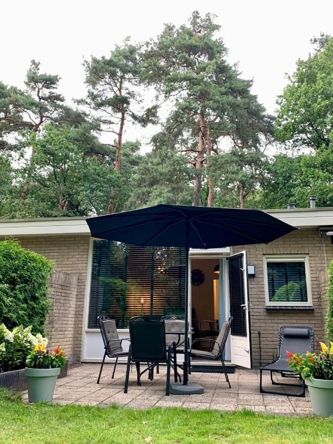 Rode Bosuil: Thuiskomen Op De Veluwe! 오털로 외부 사진