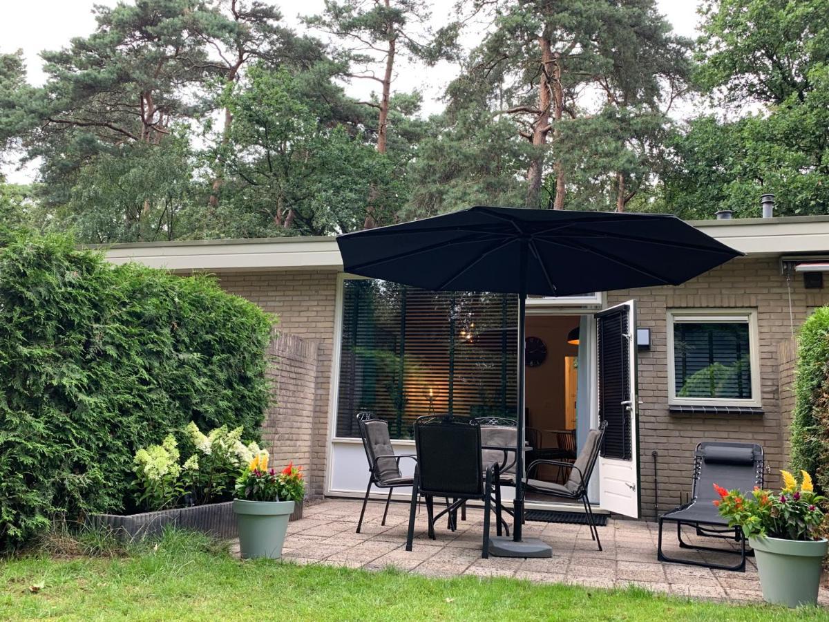 Rode Bosuil: Thuiskomen Op De Veluwe! 오털로 외부 사진