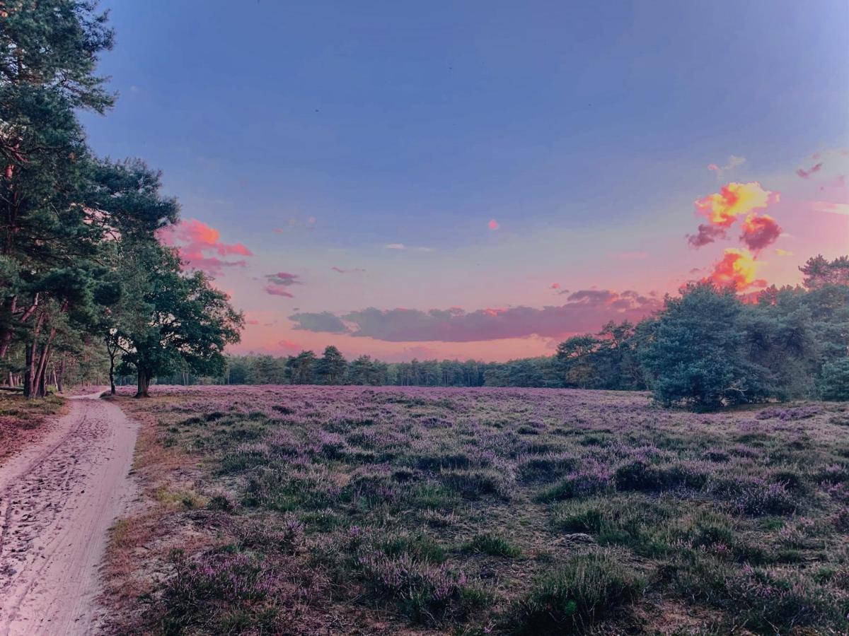 Rode Bosuil: Thuiskomen Op De Veluwe! 오털로 외부 사진