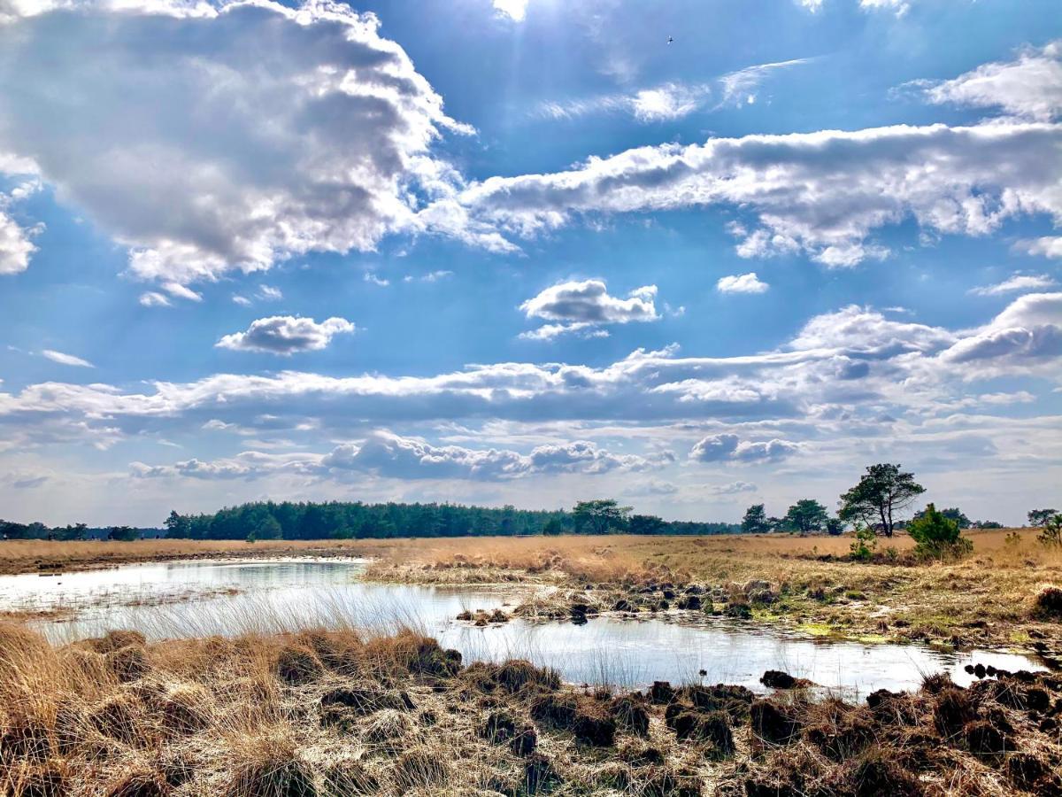 Rode Bosuil: Thuiskomen Op De Veluwe! 오털로 외부 사진