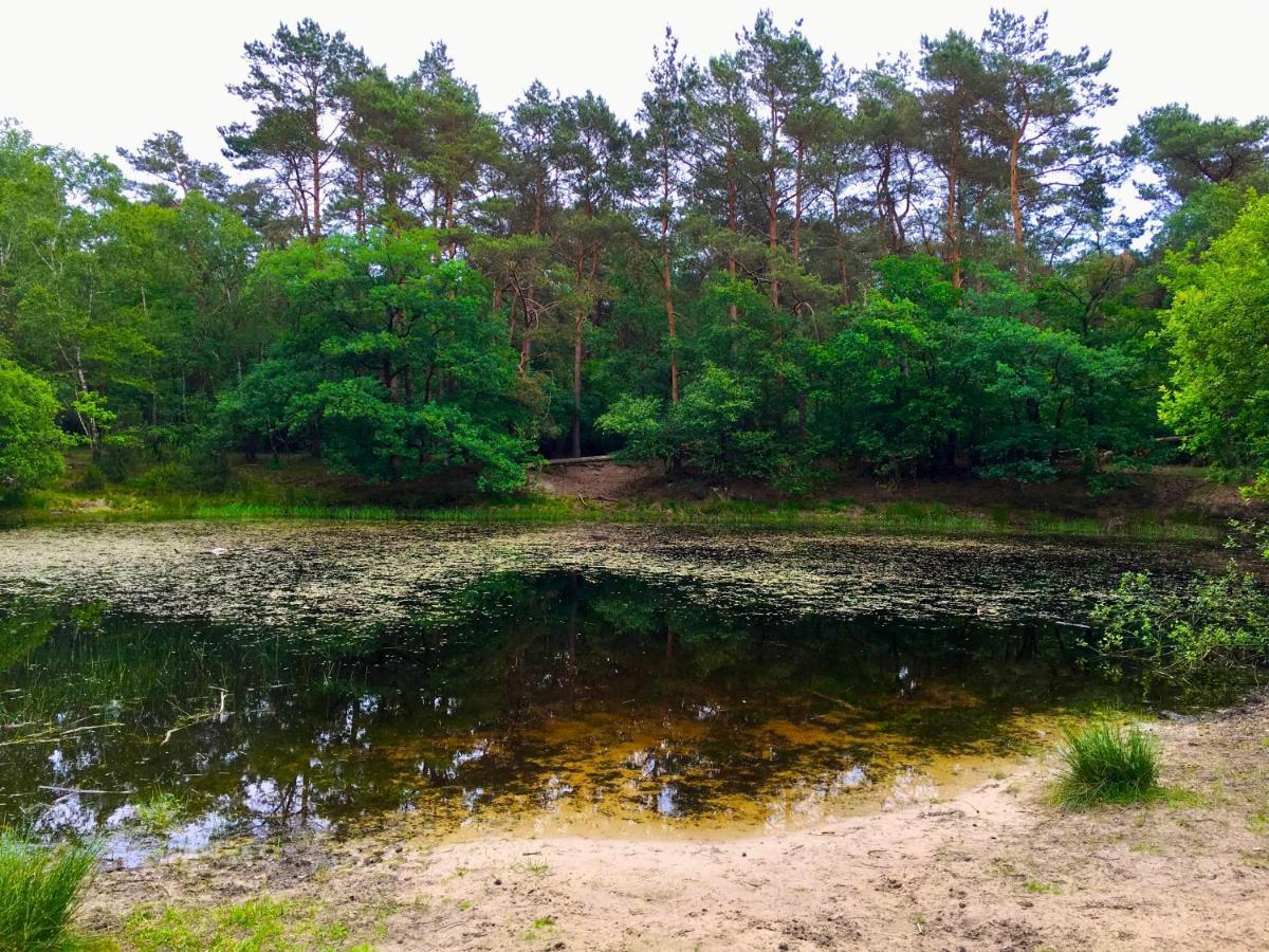 Rode Bosuil: Thuiskomen Op De Veluwe! 오털로 외부 사진