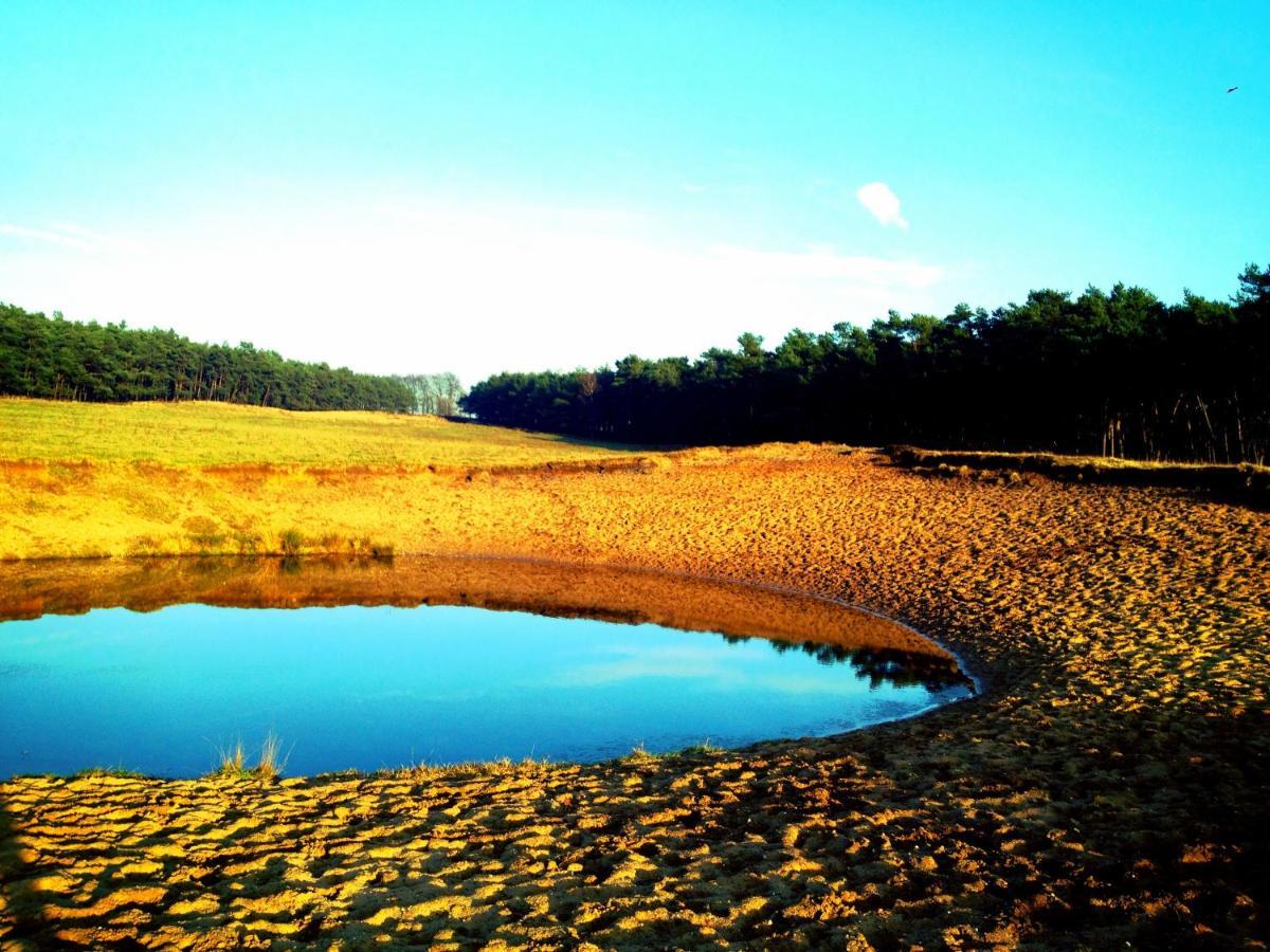 Rode Bosuil: Thuiskomen Op De Veluwe! 오털로 외부 사진