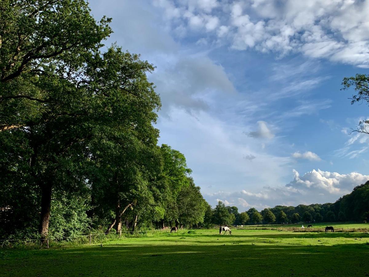 Rode Bosuil: Thuiskomen Op De Veluwe! 오털로 외부 사진